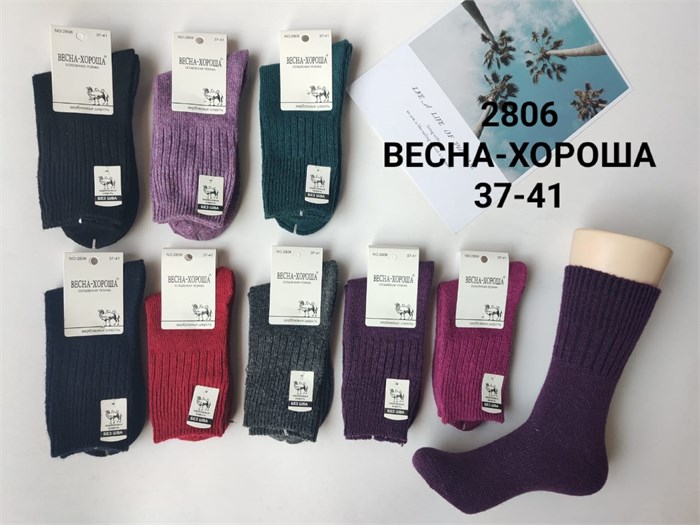 Носки жен.№2806 "RoeRue" верблюд медиц 12шт/уп. 589299 - фото 104596