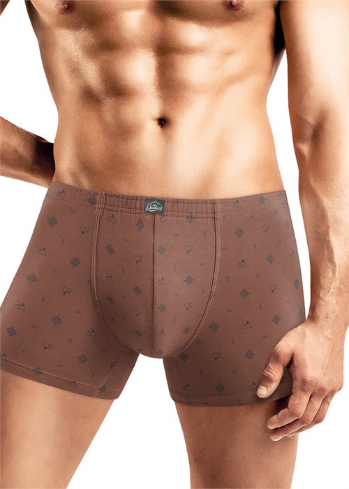 CLE MSH450121 трусы муж. (56-коричневый/т.серый) 86857 - фото 105883