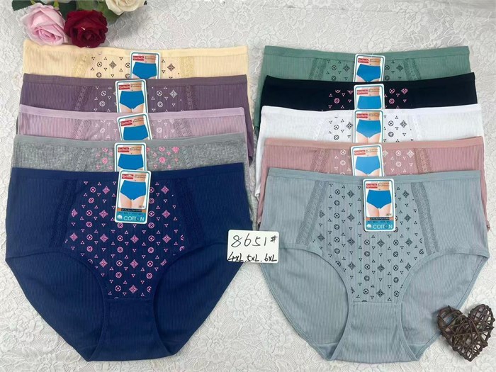 Плавки "Cotton" 8651 (4Xl,5XL,6XL) 87058 - фото 106106