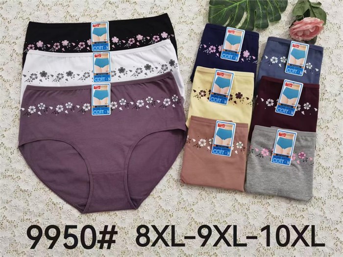 Плавки "Cotton" 9950 (8XL,9XL,10XL) 87069 - фото 106117