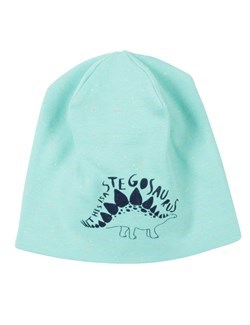 #CH 8172 (227) Шапка для мальчика бирюзовый 54-56 ВГ 444356 - фото 114924