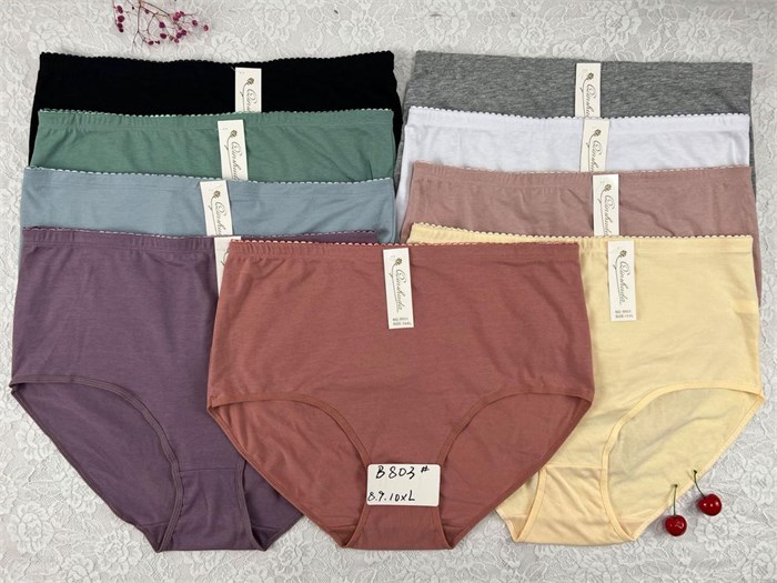 Плавки В803 (8XL,9XL,10XL) 97794 - фото 119748