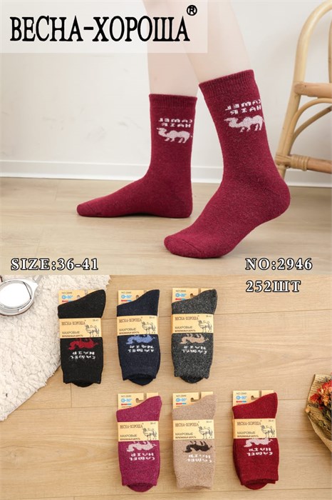 Носки жен.№2946 "RoeRue" верблюд махра 12шт/уп 97908 - фото 119868