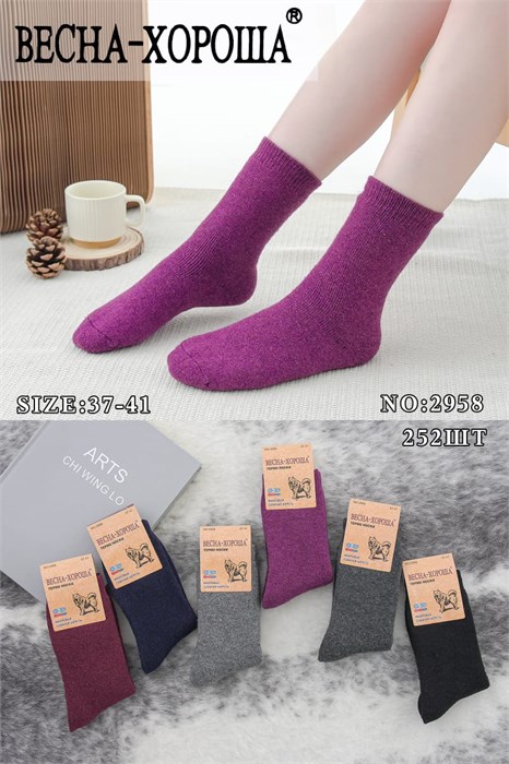 Носки жен.№2958 "RoeRue" собач.шерсть+махра 12шт/уп 97919 - фото 119879
