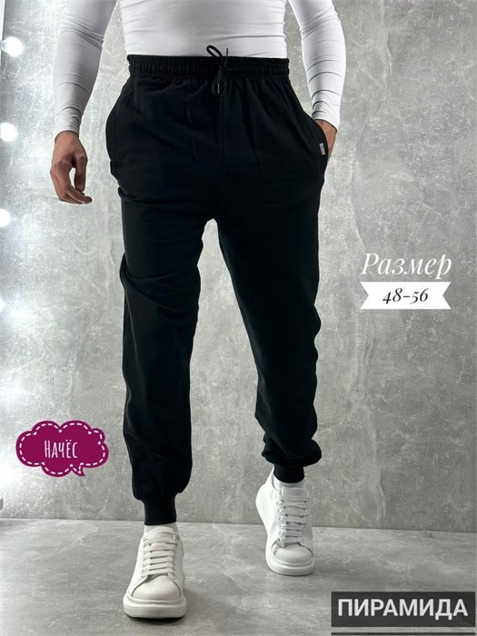 Брюки муж. начес (р.56-170) 98064 - фото 120030