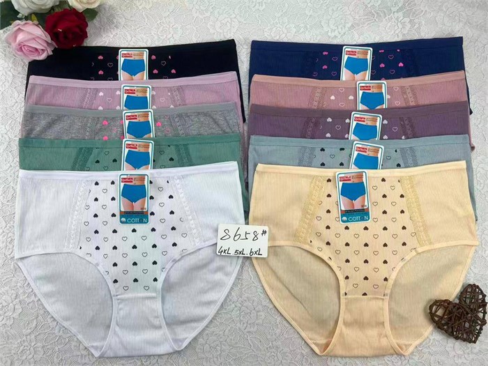 Плавки "Cotton" 8658 (4XL,5XL,6XL) 98581 - фото 120587