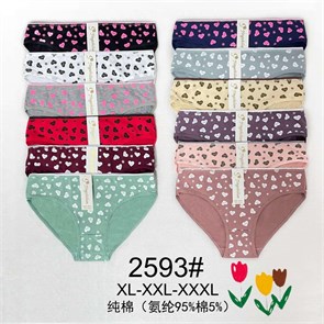 Плавки "Sixi" 2593 (XL,2XL,3XL) 87044