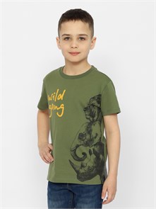 CSKB 63555-35-371 Футболка для мальчика (Хаки (104)-56) 563928