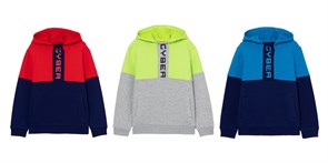 CWJB 62920-26-294 Джемпер модель "худи" для мальчика (Красный-Т.синий (158)-80) 501069