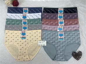 Плавки "Cotton" 8617 (4XL,5XL,6XL) 97749