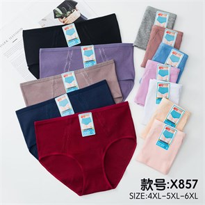 Плавки "Cotton" X857 (4XL,5XL,6XL) 97789