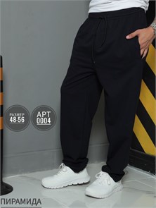 Брюки муж. №0004 (р.56-170) 97804
