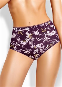 {{productViewItem.photos[photoViewList.activeNavIndex].Alt || productViewItem.photos[photoViewList.activeNavIndex].Description || 'CLE M1183/2 Трусы жен. Виола (50-т.фиолетовый/св.розовый)'}}