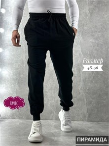 Брюки муж. начес (р.50-170) 98061