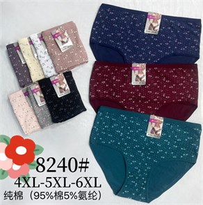 Плавки "Yingilian" 8240 (4XL,5XL,6XL) 98370