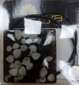 Держатель Магнитный MGTOR Sguare Conch Magnet(Sqearon scallops) MGTOR Sguare Conch Magnet
