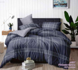 {{productViewItem.photos[photoViewList.activeNavIndex].Alt || productViewItem.photos[photoViewList.activeNavIndex].Description || 'КПБ Сатин Евро(220х240) 1717-$YH007'}}
