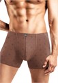 CLE MSH450121 трусы муж. (56-коричневый/т.серый) 86857 - фото 105883