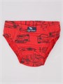 CWKB 10066-26 Трусы для мальчика (Красный (110-116)-60) 496416 - фото 115353