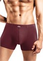 CLE MSH608710/8 Трусы муж. Хлопок (54-бордовый) 95866 - фото 117225