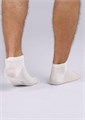 CLE Носки муж.S101 хл+эл укор (31-белый) 97161 - фото 119076