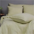 Простыня VIOLETT трикотажная на резинке  160х200х25 арт.KPM-160 олива KPM-160-1 - фото 88065