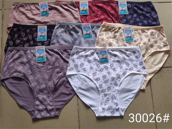 Плавки "Cotton" 30026 (10XL,11XL,12XL) 84036 - фото 102079